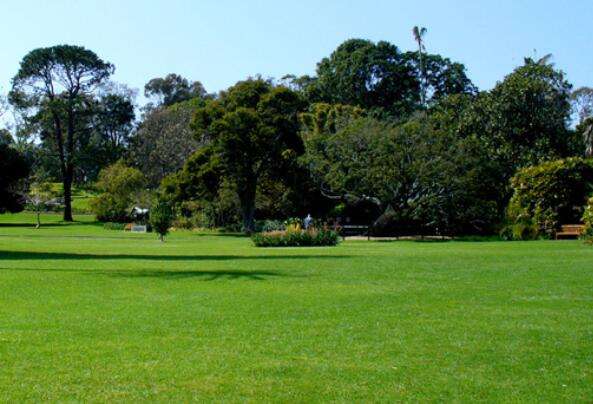 欒城草坪 欒城草坪