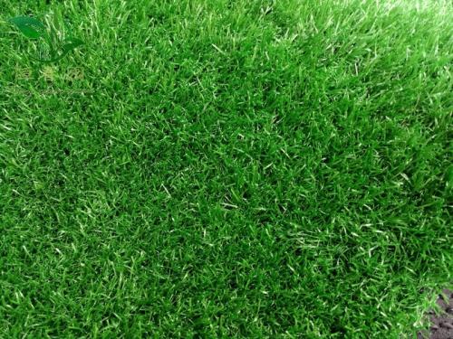 1548397779365598.jpg u=4160161114,2153449015&fm=26&gp=0.jpg